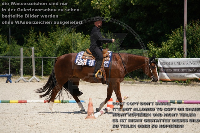 s_K3F02009.JPG